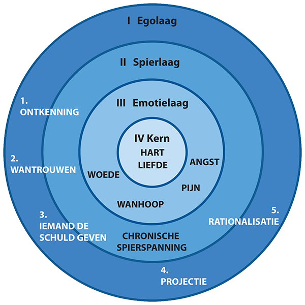 Schema bio energetica Schema bio energetica